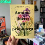 Fotografía de la portada del Libro Aunque llueva en primavera 9786287688438